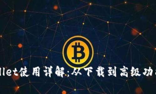 苹果版tpWallet使用详解：从下载到高级功能的全面指南