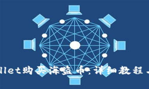 如何通过tpWallet购买海盗币：详细教程与常见问题解答