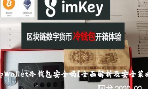 tpWallet冷钱包安全吗？全面解析及安全策略