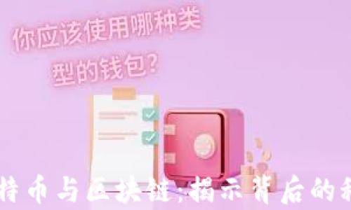 
真实的比特币与区块链：揭示背后的科技与应用