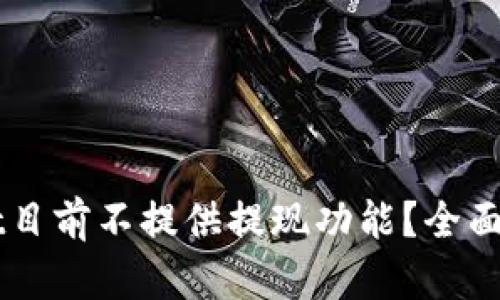 为什么tpWallet目前不提供提现功能？全面解析与解决方案