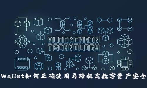 tpWallet如何正确使用马蹄提高数字资产安全性