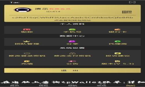 如何在电脑上查询tpWallet账单：详细指南