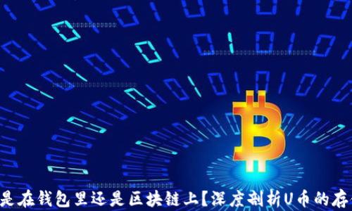 
U币究竟是在钱包里还是区块链上？深度剖析U币的存储与管理