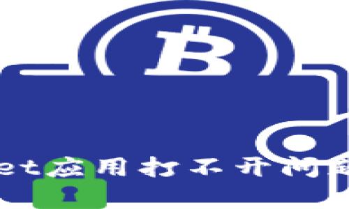 解决tpWallet应用打不开问题的全面指南