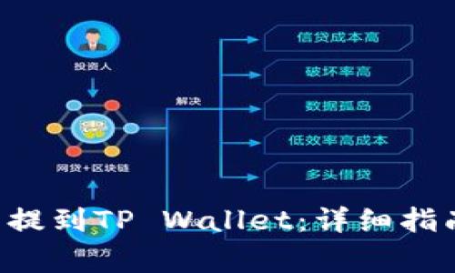 如何将PIG币提到TP Wallet：详细指南与注意事项