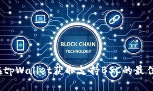 如何在tpWallet获取支持BSC的最佳方案？