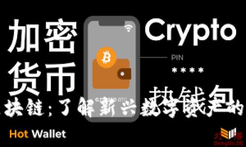 盛世昊通区块链：了解新兴数字资产的潜力与前景