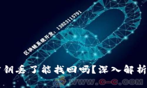 tpWallet密钥丢了能找回吗？深入解析与解决方案