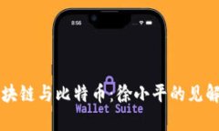 全面解析区块链与比特币：徐小平的见解与未来