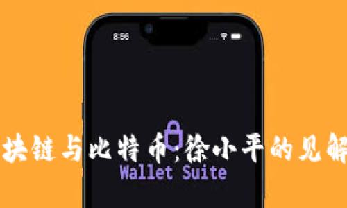 全面解析区块链与比特币：徐小平的见解与未来展望