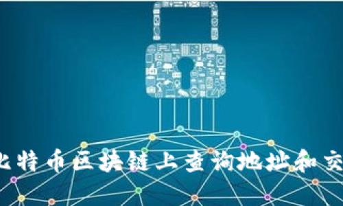 如何在比特币区块链上查询地址和交易记录？