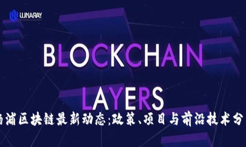 杨浦区块链最新动态：政策、项目与前沿技术分析
