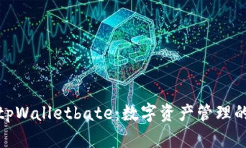 全面解析tpWalletbate：数字资产管理的全新选择