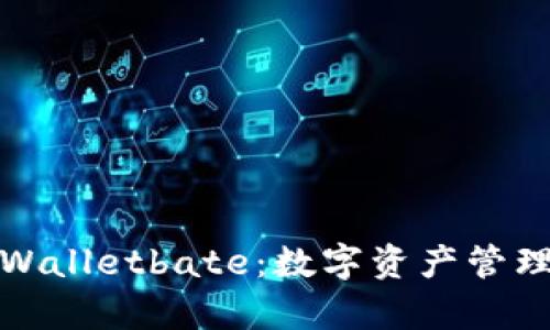 全面解析tpWalletbate：数字资产管理的全新选择