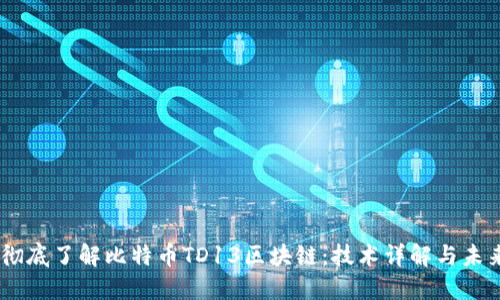 ## 彻底了解比特币TD13区块链：技术详解与未来展望