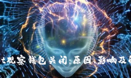 tpWallet观察钱包关闭：原因、影响及解决方案