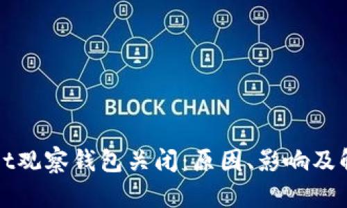 tpWallet观察钱包关闭：原因、影响及解决方案