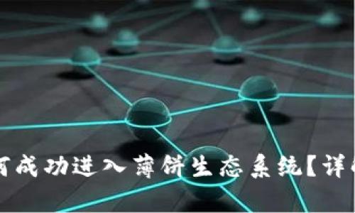 tpWallet如何成功进入薄饼生态系统？详解步骤与策略