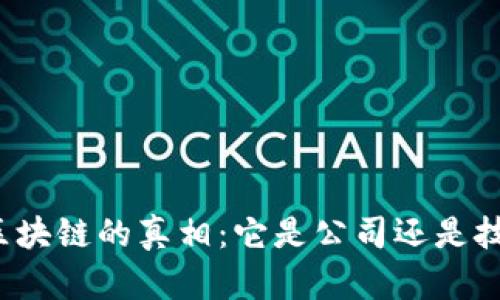 琥珀币区块链的真相：它是公司还是技术平台？