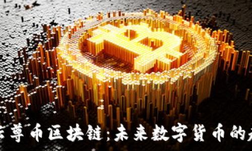   
深入解析云尊币区块链：未来数字货币的趋势与应用