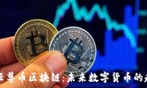   
深入解析云尊币区块链：未来数字货币的趋势与应用
