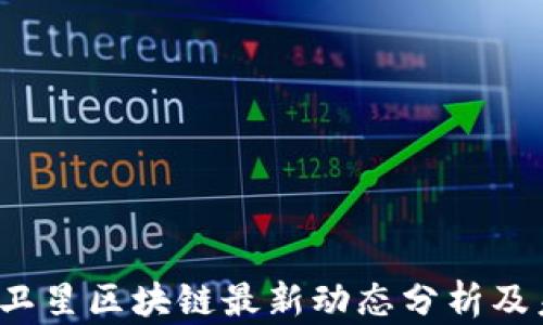 
2023年卫星区块链最新动态分析及未来展望