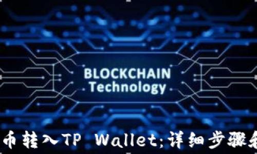 
如何将Pig币转入TP Wallet：详细步骤和注意事项