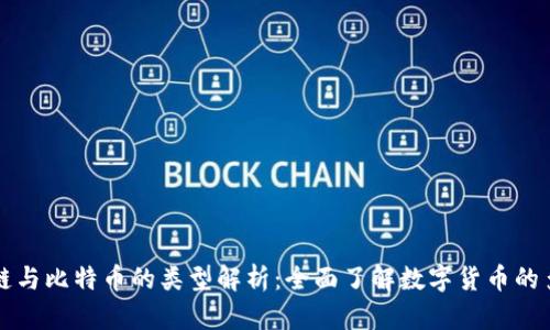 区块链与比特币的类型解析：全面了解数字货币的多样性