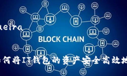  churrasqueira 


深入解析：如何将IT钱包的资产安全高效地转至TP平台