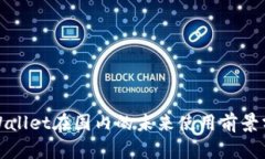 tpWallet在国内的未来使用前