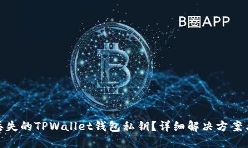 如何找回丢失的TPWallet钱包私钥？详细解决方案与预防措施