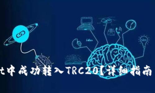 如何在tpWallet中成功转入TRC20？详细指南与常见问题解析