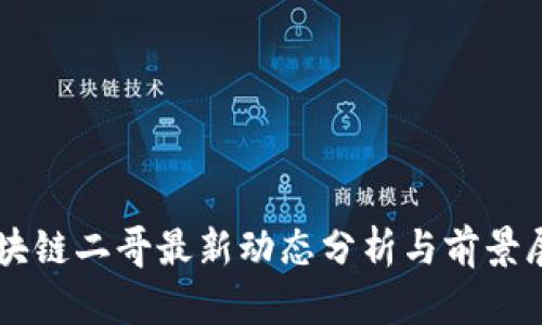 区块链二哥最新动态分析与前景展望