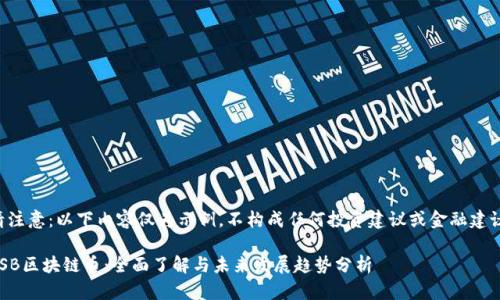 请注意：以下内容仅为示例，不构成任何投资建议或金融建议。

CSB区块链币：全面了解与未来发展趋势分析