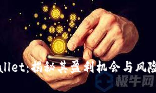 tpWallet：揭秘其盈利机会与风险分析