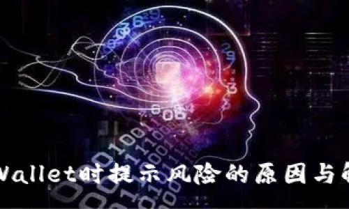 :
下载tpWallet时提示风险的原因与解决方案