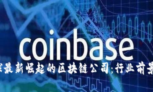 2023年全球最新崛起的区块链公司：行业前景与创新探索