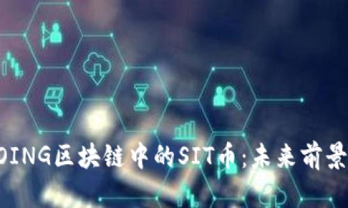 深入分析COING区块链中的SIT币：未来前景与潜力分析