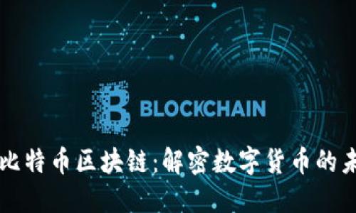 深入探讨比特币区块链：解密数字货币的未来与潜力