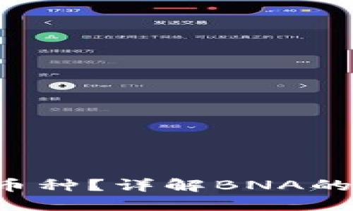 区块链中BNA是什么币种？详解BNA的背景、用途与未来发展