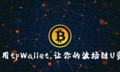 如何安全使用tpWallet，让你的波场链U资金不被转