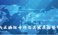 国内区块链币行及其发展