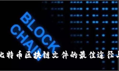 获取比特币区块链文件的最佳途径与方法