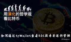 如何通过tpWallet查看BSC新币