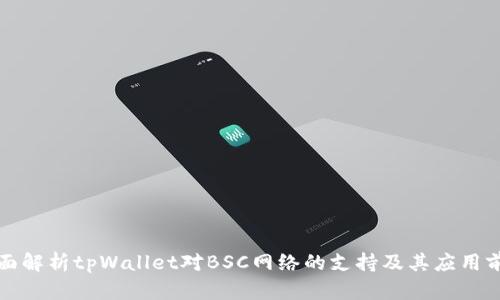 全面解析tpWallet对BSC网络的支持及其应用前景